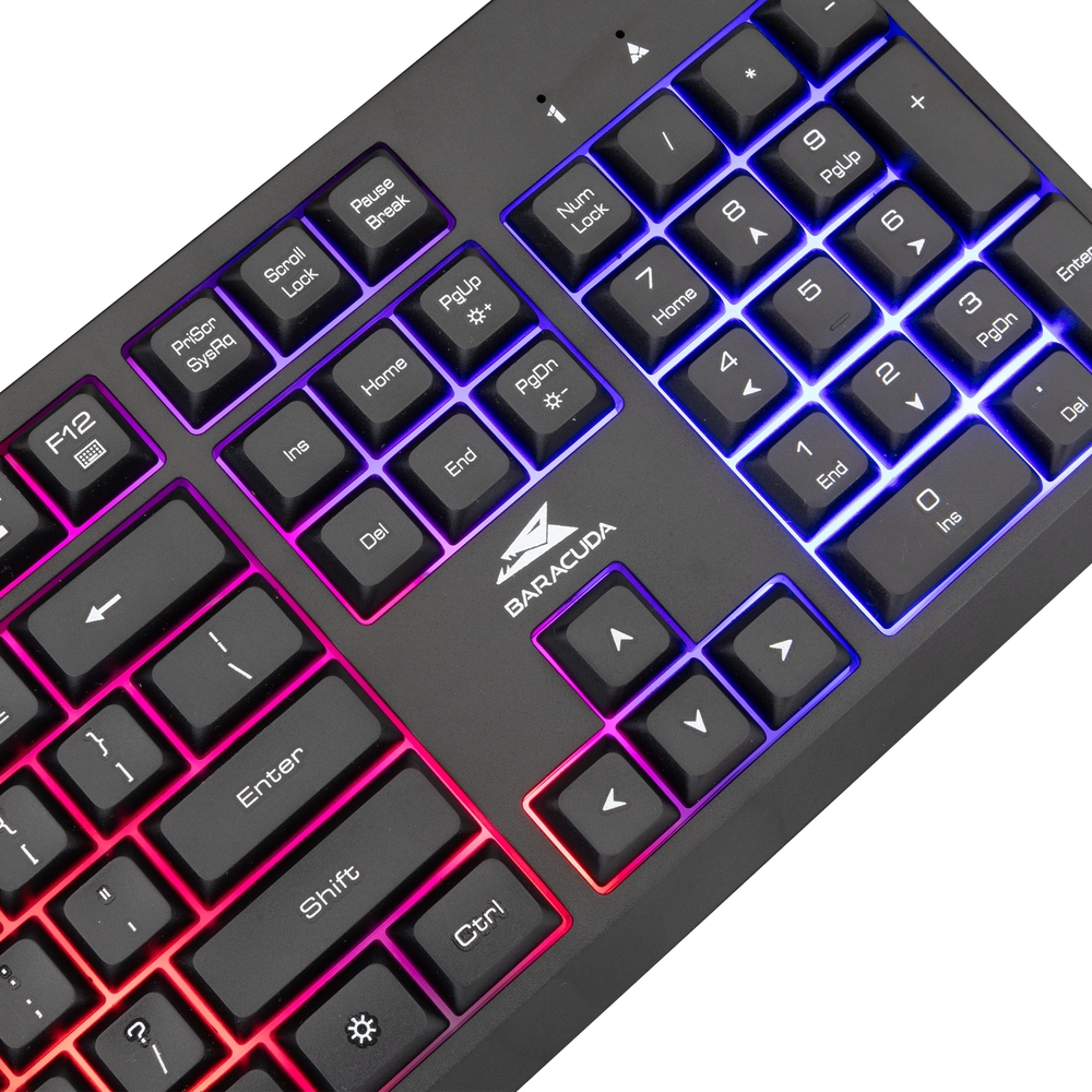 Baracuda STARFISH USB 2.0